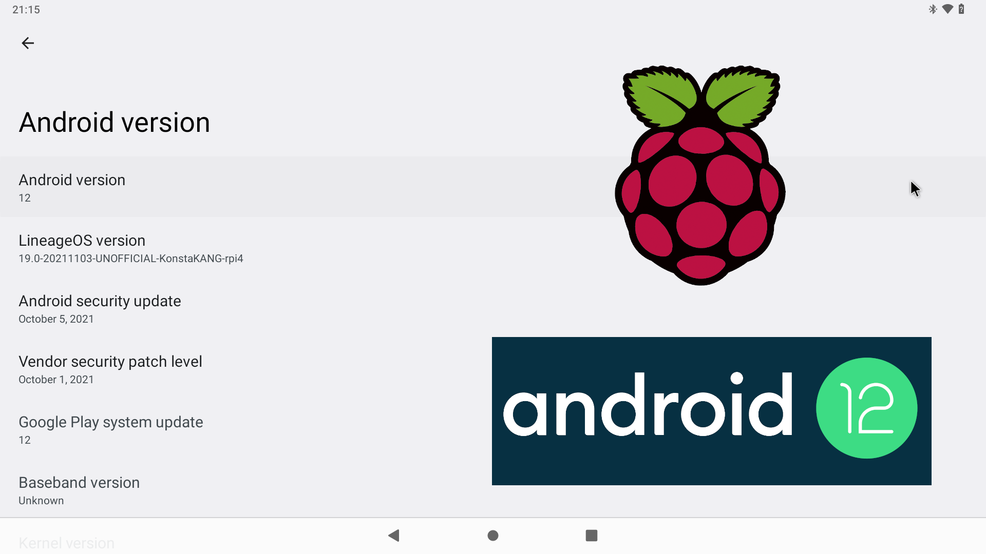 Android 12 Raspberry Pi 4